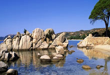 九游娱乐教练-沙尔克04惨遭弗赖堡逆袭 吞下主场失利，沙尔克04对费雷堡