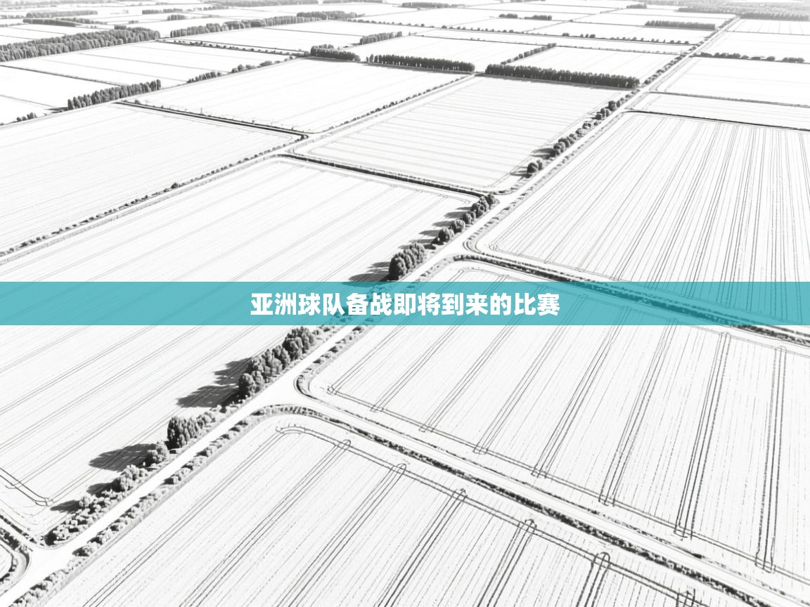 亚洲球队备战即将到来的比赛  第1张